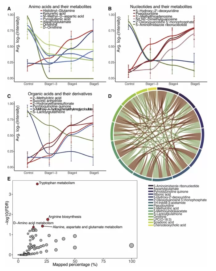 Altered groups of metabolites and pathways during CKD progression.